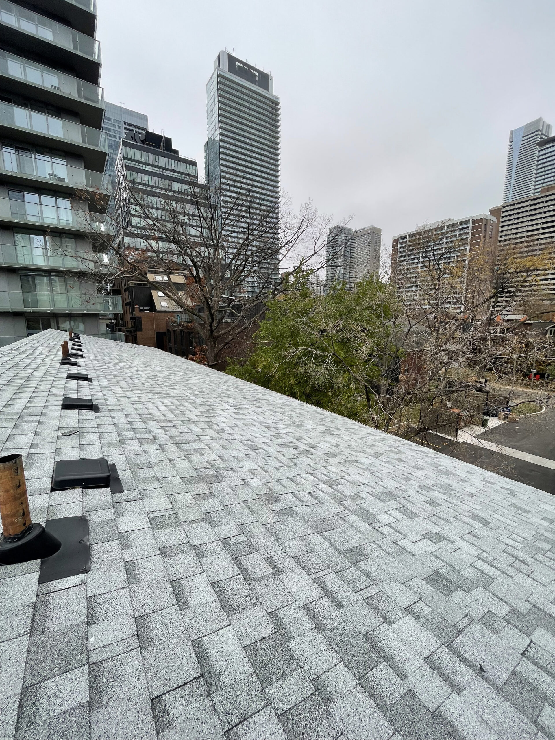 Shingle Roof Toronto